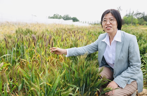 검은 보리 '흑누리' 개발한 이미자 국립식량과학원 농업연구관