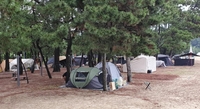 보성군, 해수욕장 장기 방치 텐트 강제 철거