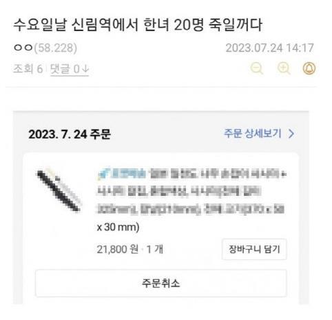 '신림역 살인예고' 구속영장…협박글 3건 IP추적(종합2보)