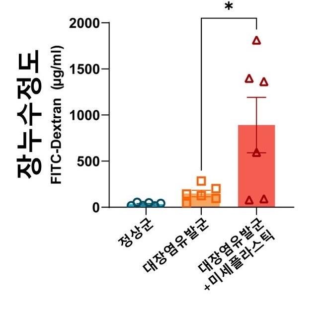 미세플라스틱 섭취가 장 누수에 미치는 영향 나타낸 그래프