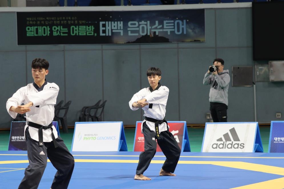 Taekwondo Kang Wan-jin