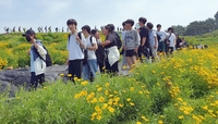 조선시대 산성이 꽃동산으로…거제 지세포진성, 사진명소 '북적'