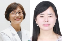 당뇨병성 콩팥병 일으키는 세포사멸 단백질의 작용 원리 밝혔다