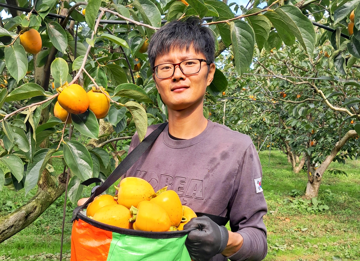 [스마트 파머] ⑧ "세계에서 인정"...감으로 미래 일구는 박문수 대표 - 뉴스 썸네일 이미지
