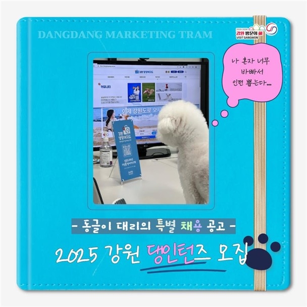 강원관광재단 '댕턴즈' 첫 시범 운영…반려견 참여 콘텐…