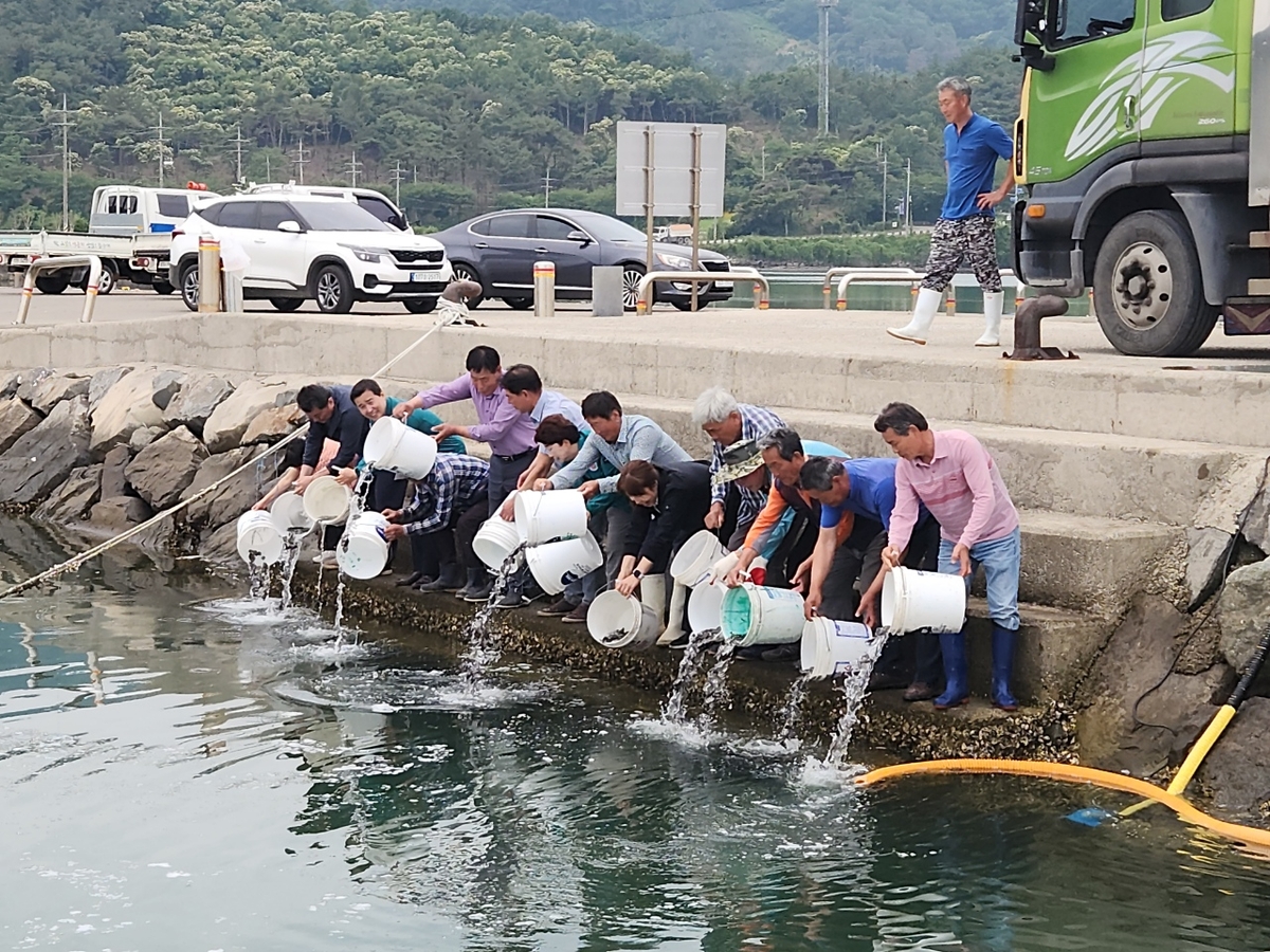 경남 고성군, 수산종자 방류 확대…해양환경 변화 대응