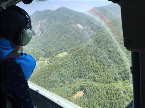 산림청, 상반기 소나무재선충병 261만그루 방제…"역대…