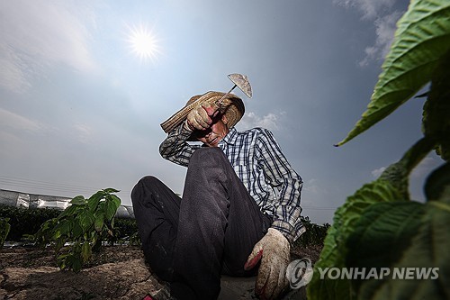[김길원의 헬스노트] 체온보다 뜨거운 폭염…온열질환 예방행동 