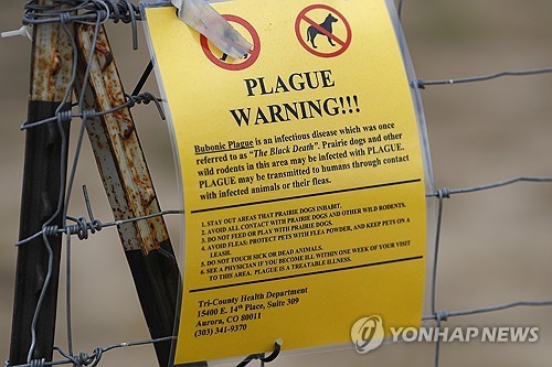 미국 애리조나에 흑사병 사망자…당국 "대중 전파 위험 …