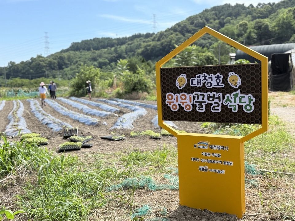 꿀벌 급감하자 대청호 주민 직접 나섰다…