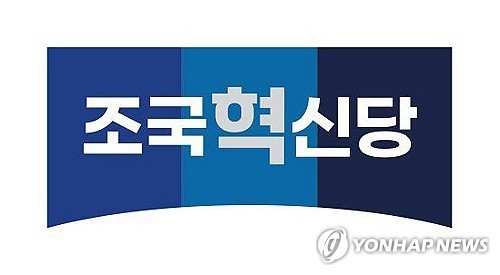 "조국혁신당 간담회서 맞았다"며 경찰 고소…혁신당 "폭행 없어"(종합2보)