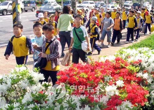 [시간들] 사라지는 소풍, 멀어지는 김밥의 추억