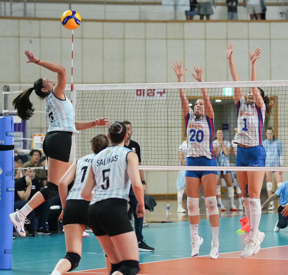 여자배구 아르헨티나와 체코의 경기 장면