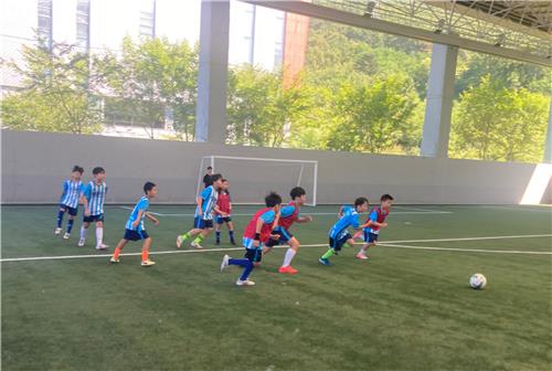 창원FC, 유소년 축구교실 운영…유치부·초등생 100명 모집