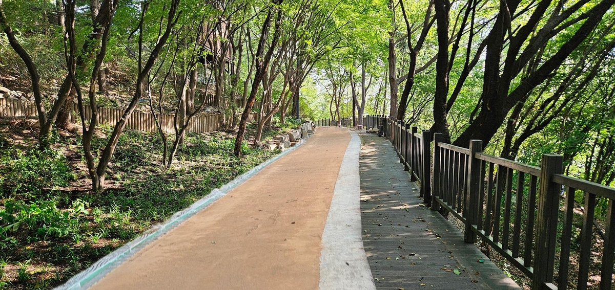 종로구 숭인공원에 맨발산책로 개장