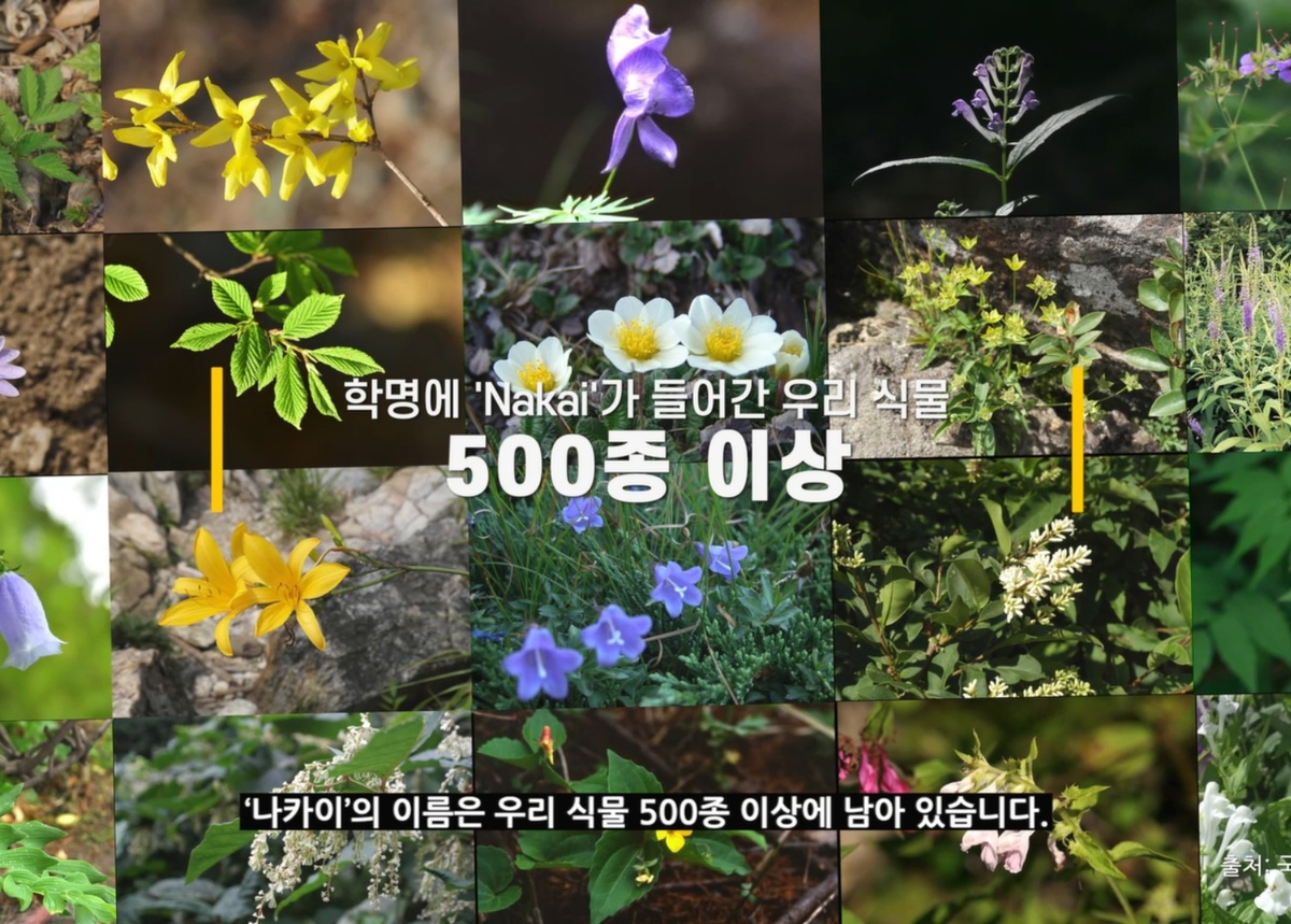 이수지-서경덕, 광복 80주년 '식물 주권' 알리는 영상 공개