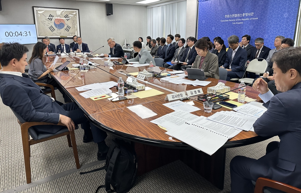 美 LA국감서 유승준 비자문제 또 도마…김태호 "공권력 지나쳐"