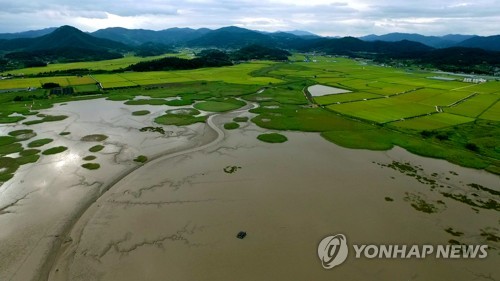 Corea del Sur presiona de nuevo para enlistar como Patrimonio Mundial de la Unesco las marismas del sudoeste