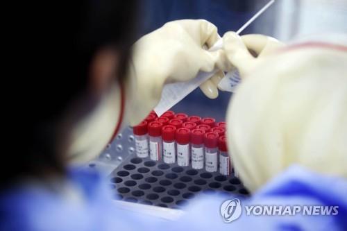 La foto, proporcionada por una oficina distrital de la ciudad sudoccidental de Gwangju, muestra a una trabajadora sanitaria revisando las muestras para los exámenes del COVID-19, en una clínica provisional, el 17 de agosto de 2022, en la misma ciudad. (Prohibida su reventa y archivo)