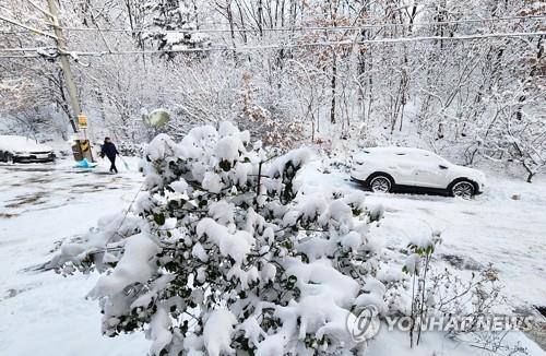 Corea del Sur registra el día más frío de la temporada
