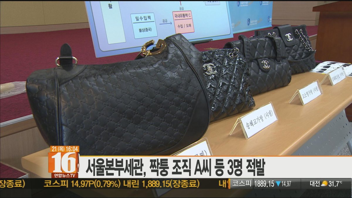 김태희 가방 등 연예인 내세운 짝퉁 마케팅 | 연합뉴스