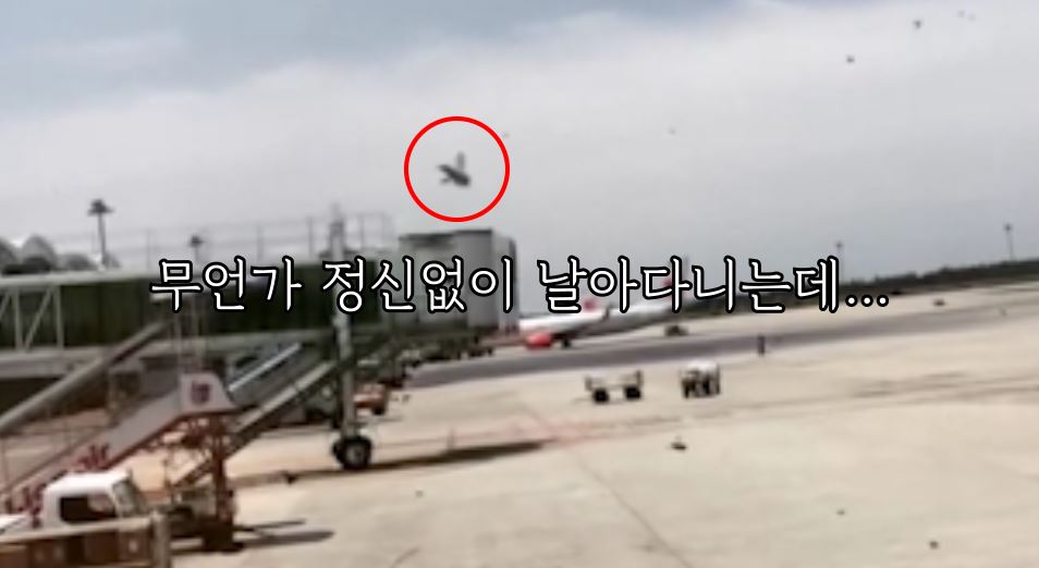 벌떼 습격 때문에… 인니 공항서 여객기 출발지연 소동 | 연합뉴스