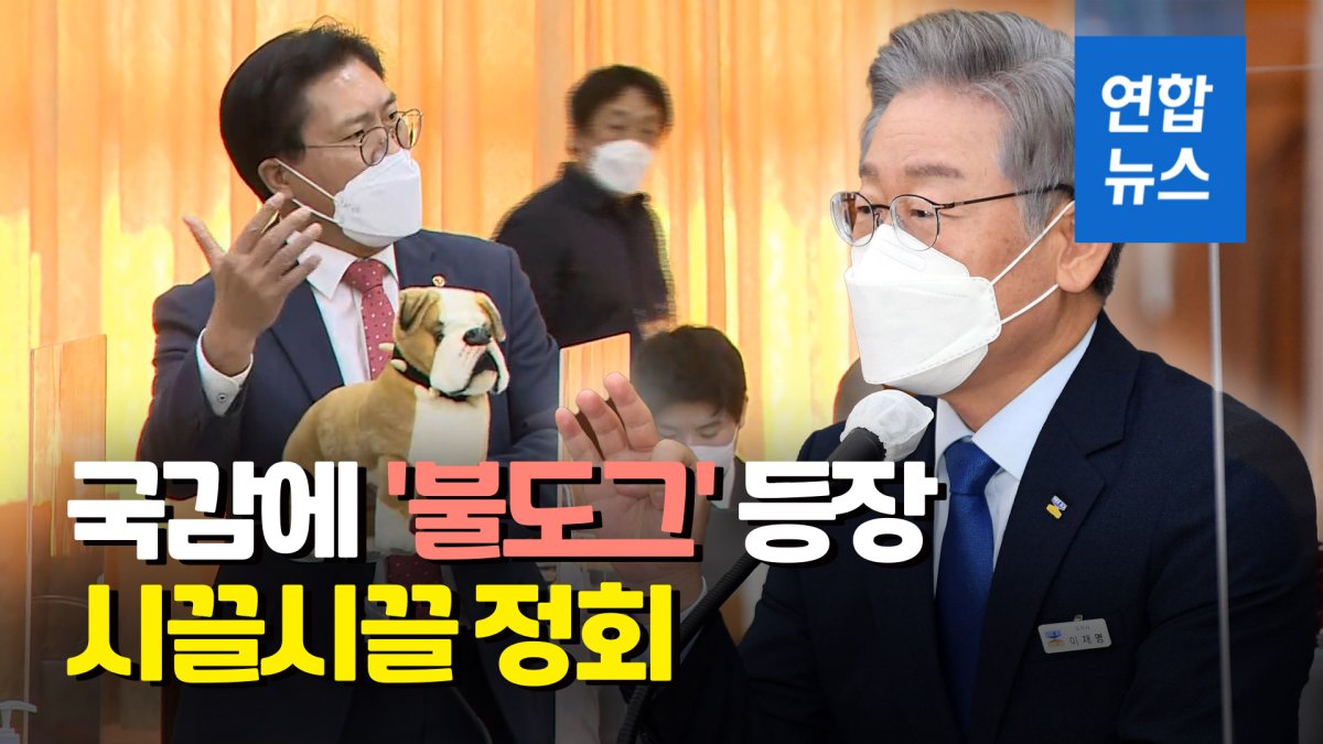 [영상] "대장동은 양두구육"…경기도 국감서 개 인형 소동