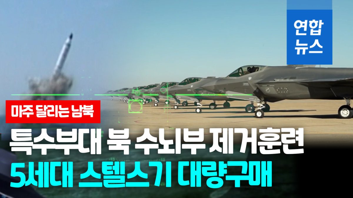 [영상] 스텔스 전투기 20대 추가도입…'400㎞ 함대공미사일' 구매