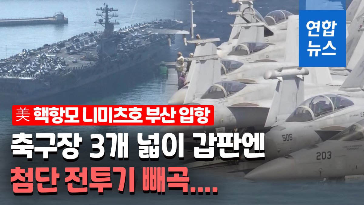 [영상] '떠다니는 군사기지' 미 핵항모 니미츠호 부산 입항