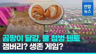  늪에 텐트 쳤나? '폭염 잼버리' 100명 쓰러져…계란엔 곰팡이