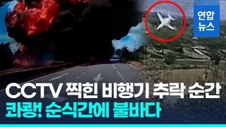  머리부터 곤두박질 쾅!…말레이시아 소형여객기 도로 추락 순간