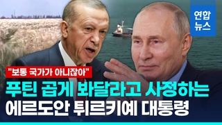 [영상] 자칭 '우크라전 중재자' 에르도안 "푸틴 나쁘게만 보지 말자"