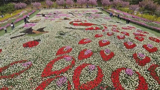'빨강·노랑·보라' 260만 꽃송이의 향연…태안 세계튤립꽃박람회