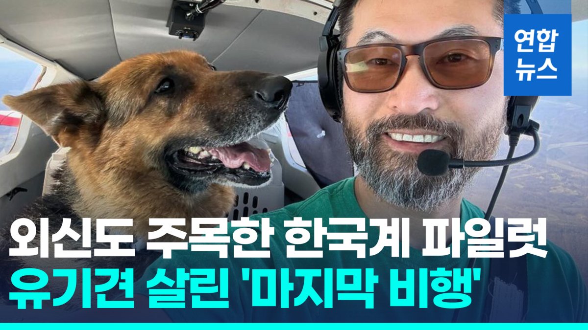 [영상] 한국계 파일럿, 구조비행 중 추락사…유기견 2마리는 극적 생존