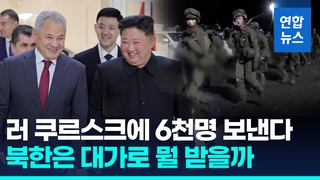 [영상] 도대체 뭘 받기로 했길래…'푸틴 특사' 만나 활짝 웃은 김정은