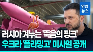 [영상] 우크라, 신형 순항미사일 '플라밍고' 공개…연말 양산 목표