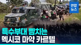 [영상] 기관총에 드론까지…무장하는 멕시코 카르텔은 '준군사조직'