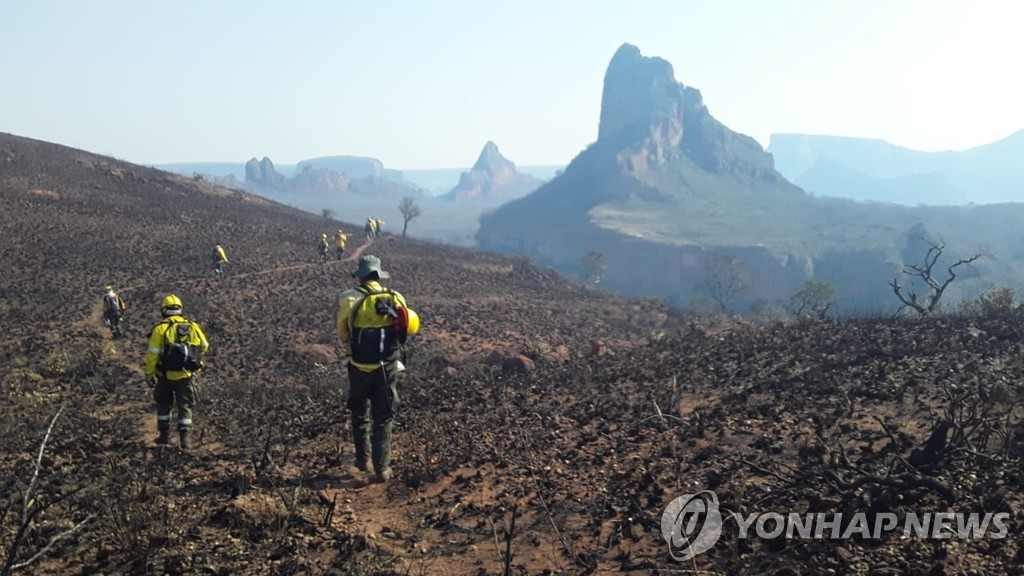 볼리비아 산불이 지나간 자리 