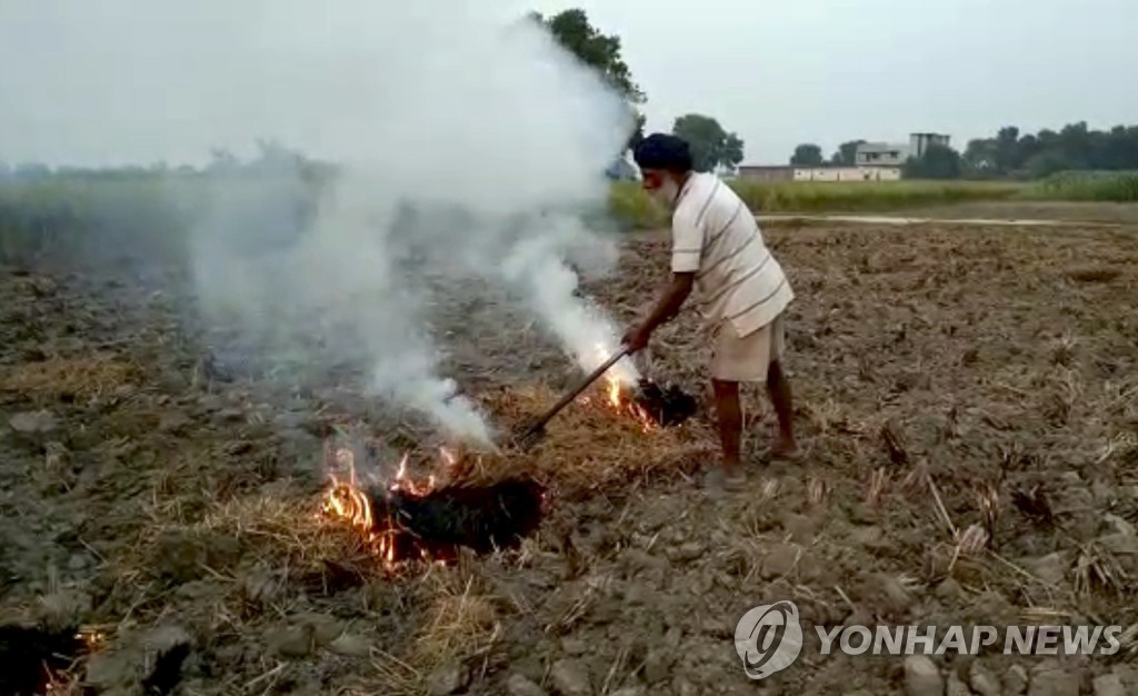 추수 뒤 밭을 태우는 인도 농부