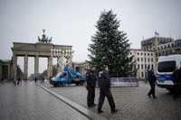 기후활동가들, 베를린 대표 성탄트리 꼭대기 베어낸 이유는