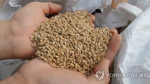 인천 학교급식에 쌀 직접 지원…1년 소요량 4천여t