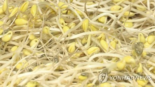 '국내산 친환경이라더니…' 중국산 섞은 콩나물 12t 판매한 업자