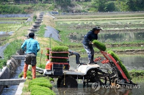 올봄 모내기 물 부족 없을 듯…"용수공급 철저 관리"