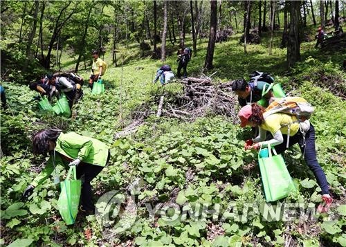 산나물축제