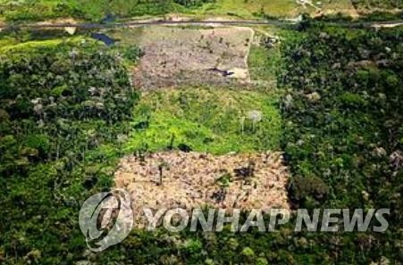 파괴된 아마존 열대우림 [연합뉴스 자료사진]