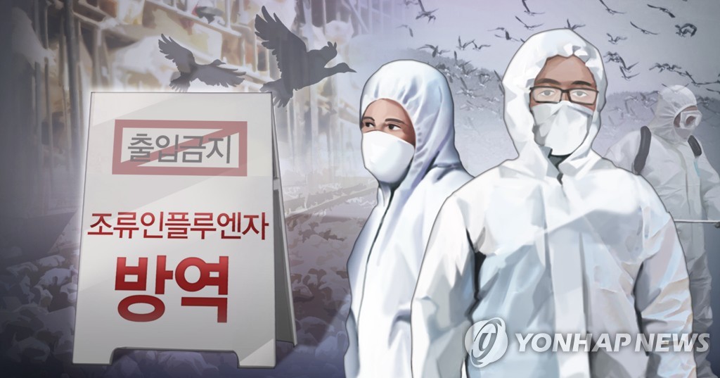 S. Korea on alert over bird flu as highly pathogenic cases near 10 - 2