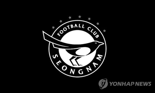 프로축구 성남FC 대표 후보에 김영하 전 하나은행 스포츠단 단장