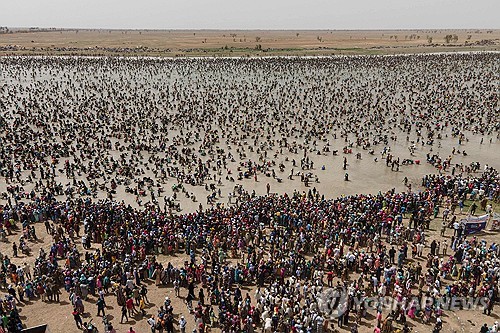 '물 반 사람 반'…아프리카 말리 전통 단체 고기잡이