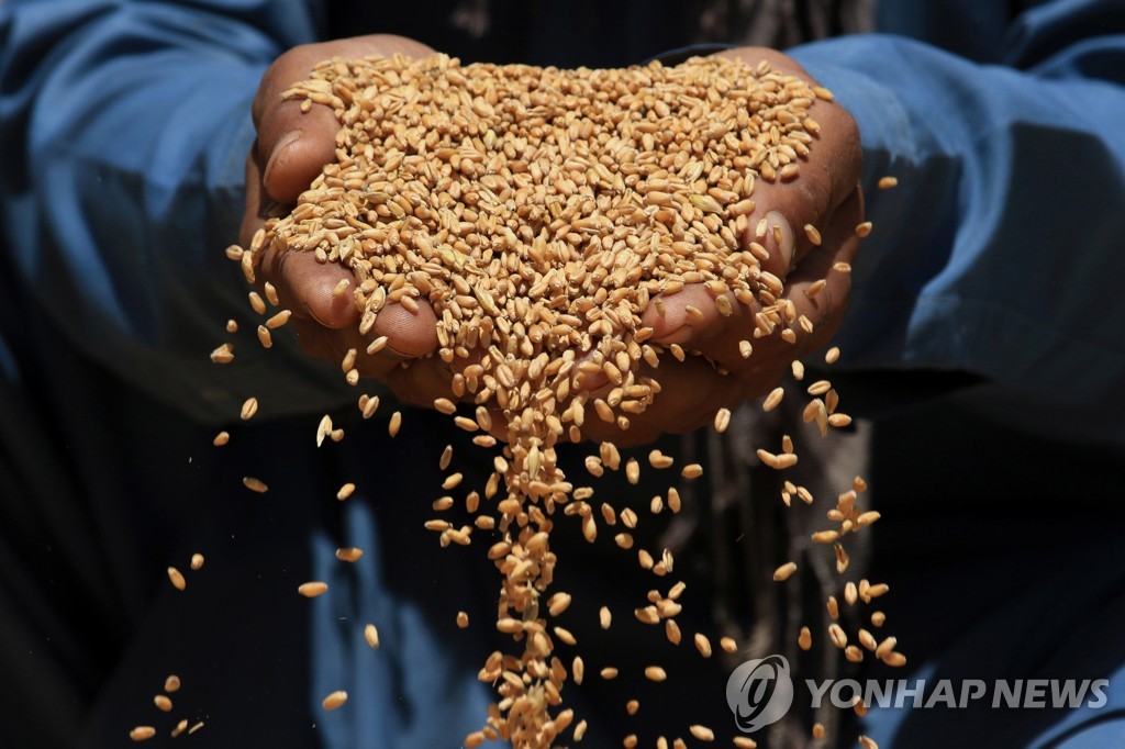 2분기 수입 곡물 가격 또 오른다…식용 10.4%↑, 사료용 13.6%↑