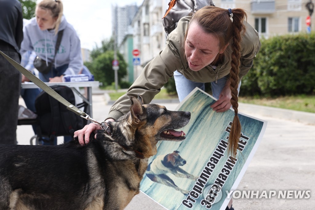 Campaign against proposed stray animal euthanasia amendment in Ryazan, Russia